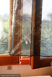 Filet de camouflage pendant devant la fenêtre
