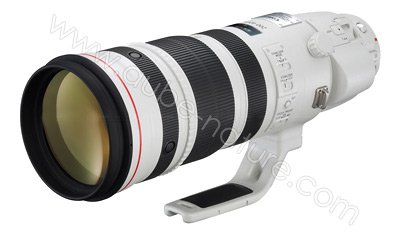 Canon 200-400/4 L IS USM Canon 200-400/4 L IS USM