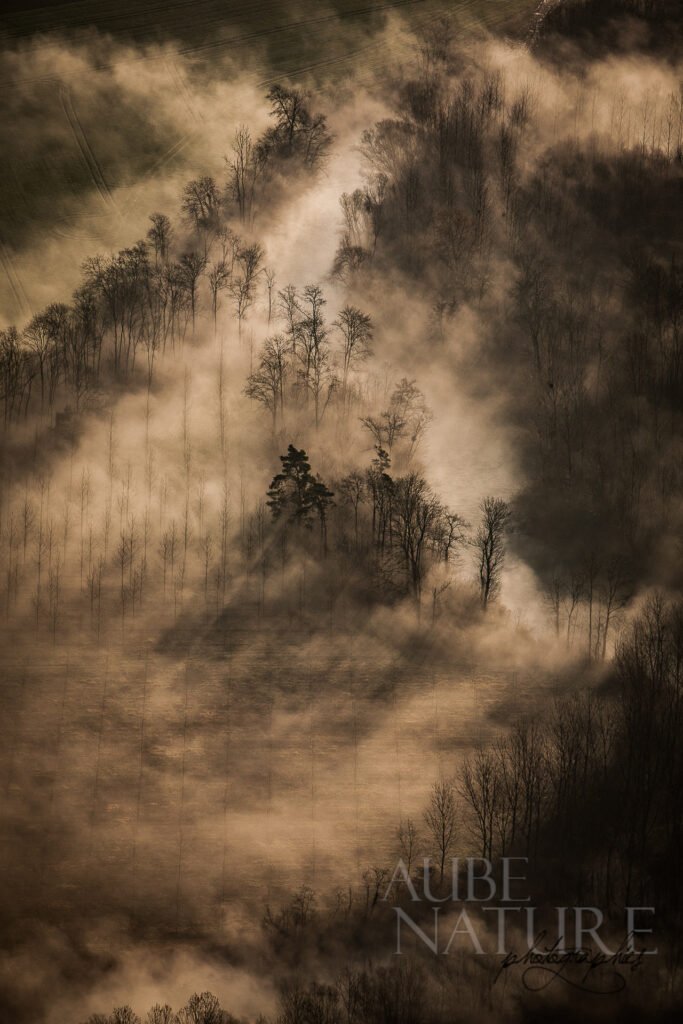 Brumes et brouillards dans l'Aube