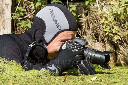 Photographe animalier plongé dans une mare