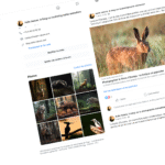 DMCA Facebook : faire supprimer une image volée sur Facebook