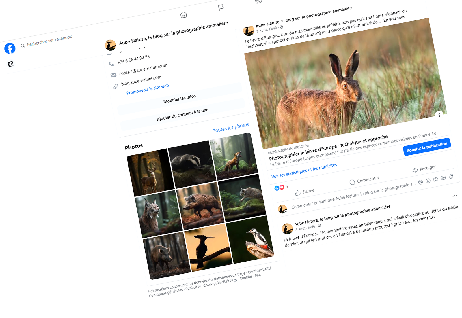 DMCA Facebook : faire supprimer une image volée sur Facebook