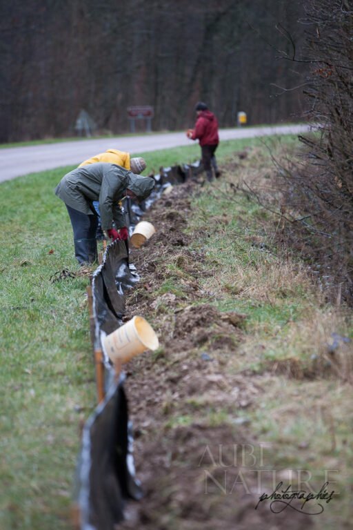 Bâches de protection pour les batraciens