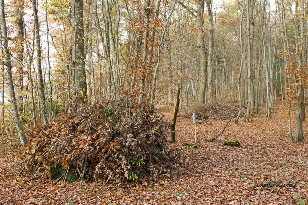 Affût ou camouflage : les végétaux à la rescousse