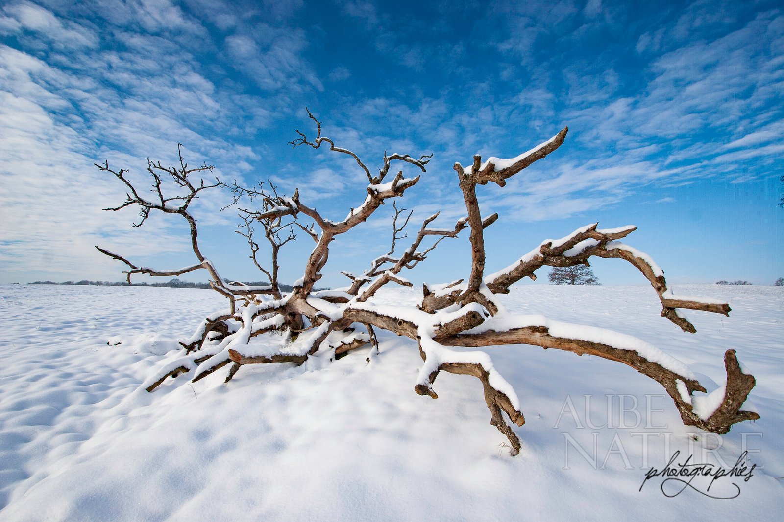 Concours photo : magazine Géo