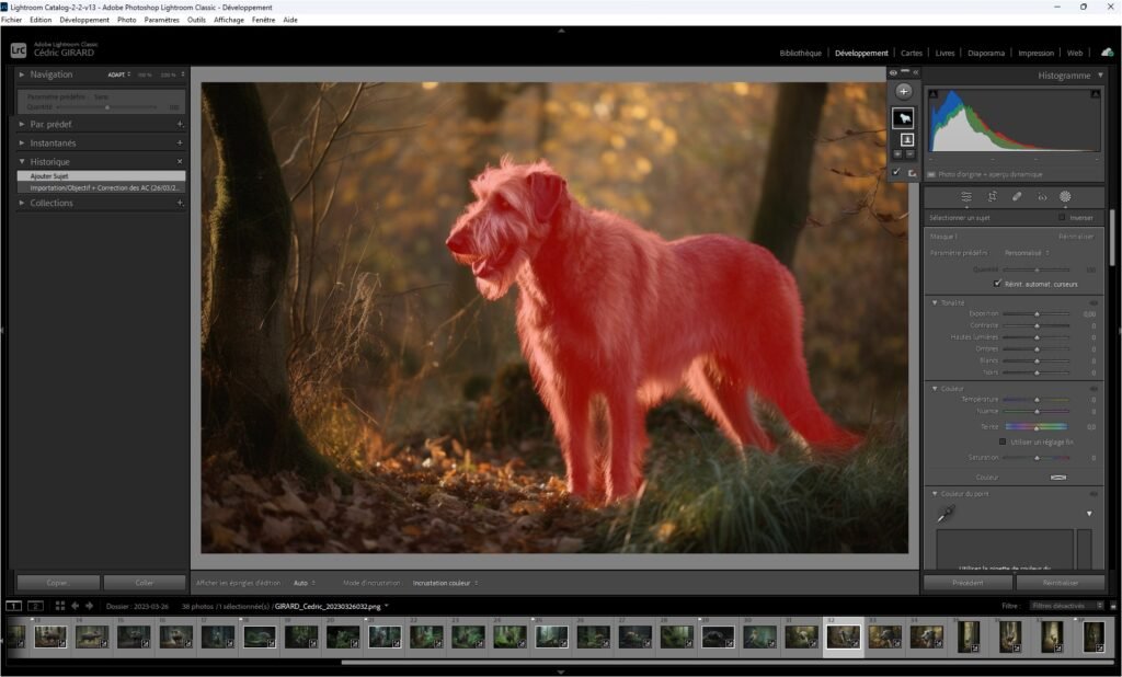 L"outil de sélection automatique de sujet dans Adobe Lightroom