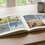 Photoweb : mettre en valeur ses photos grâce aux livres et aux cadres