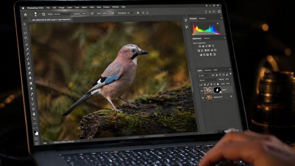 gros plan sur un écran oled de portable affichant une photo de geai des chênes en cours de développement dans lightroom 1