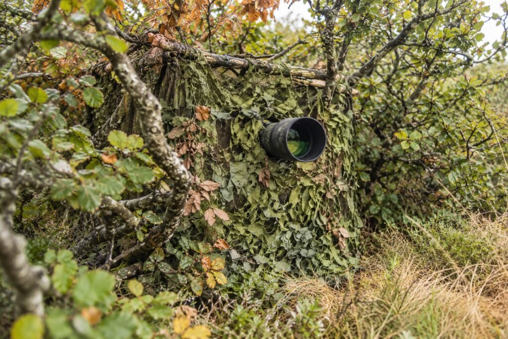 affût camouflé dans les sous bois