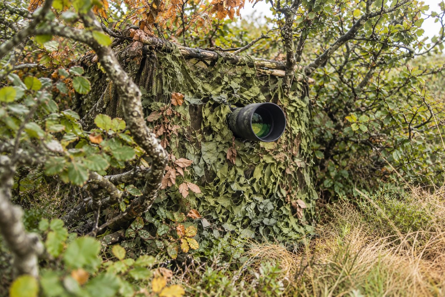 affût camouflé dans les sous bois