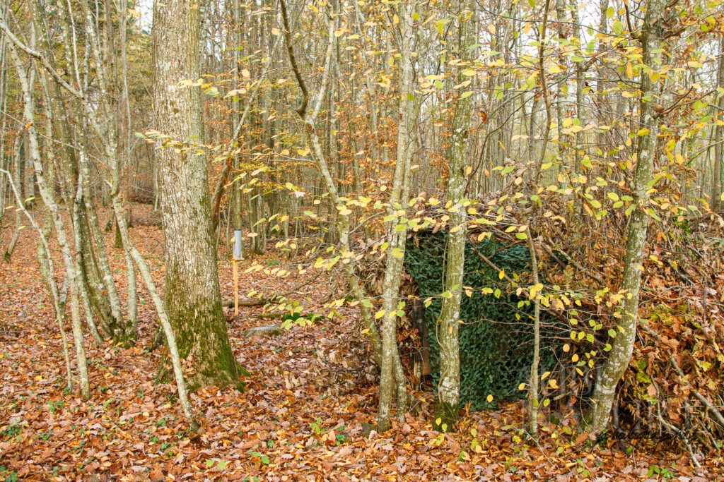 camouflage photographie animalière (1)