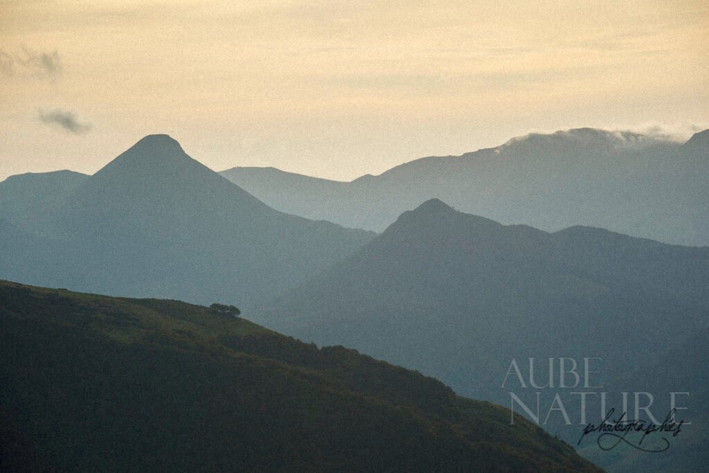 paysage nature argentique